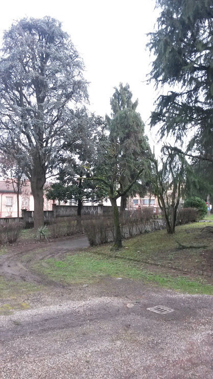 POTATURA (2) FEB2015.jpg