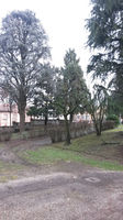 POTATURA (2) FEB2015.jpg
