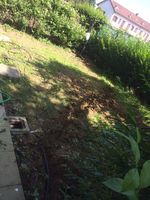 realizzazione prato verde (1).jpeg