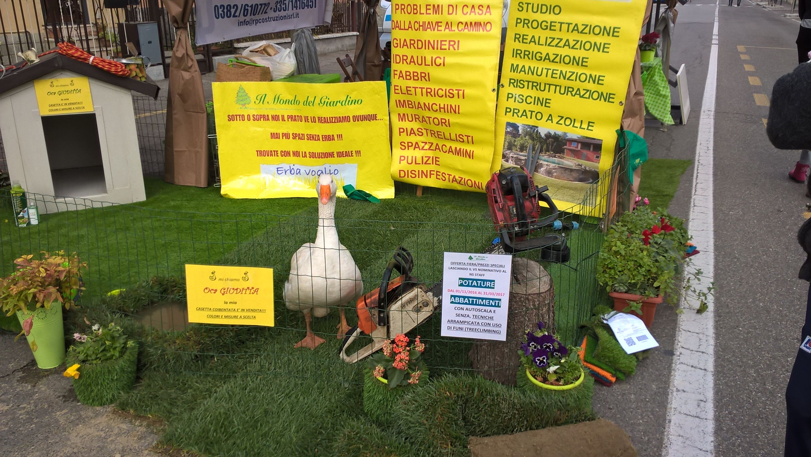 FIERA DI SAN MARTINO SICC 13NOV2016 (8).jpg