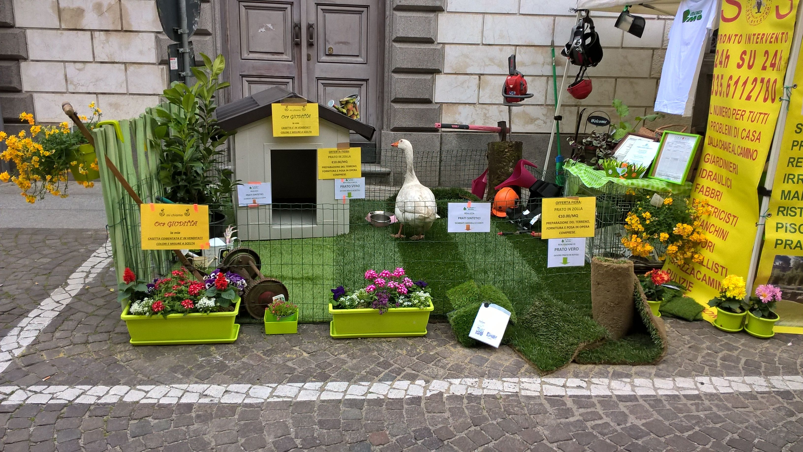 2016-04-17 12.16.50.jpg
