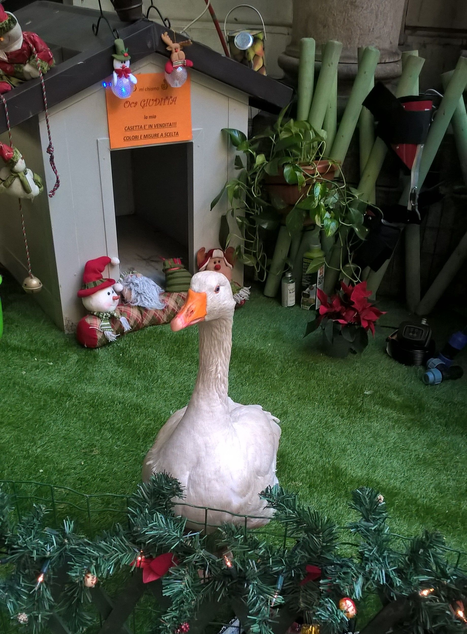 FIERA CUPOLA ARNABOLDI ASPETTANDO IL NATALE 2016 (44).jpg