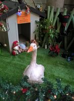 FIERA CUPOLA ARNABOLDI ASPETTANDO IL NATALE 2016 (44).jpg