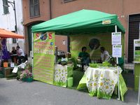 il mondo dei servizi 7.jpeg