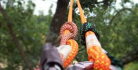 TREE CLIMBING CORDE.png